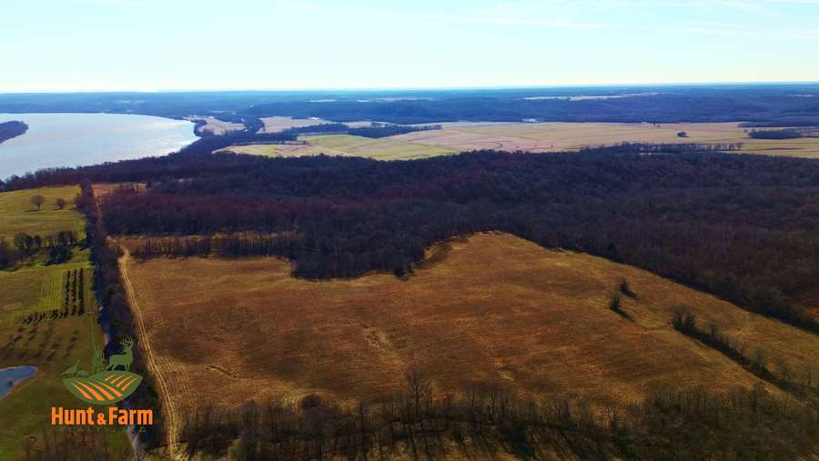 Still 2026-01-28 141101_2.14.11.jpg